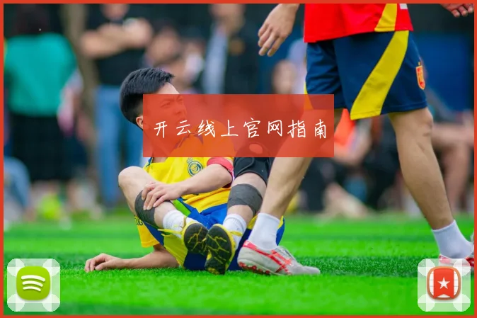 开云线上官网指南