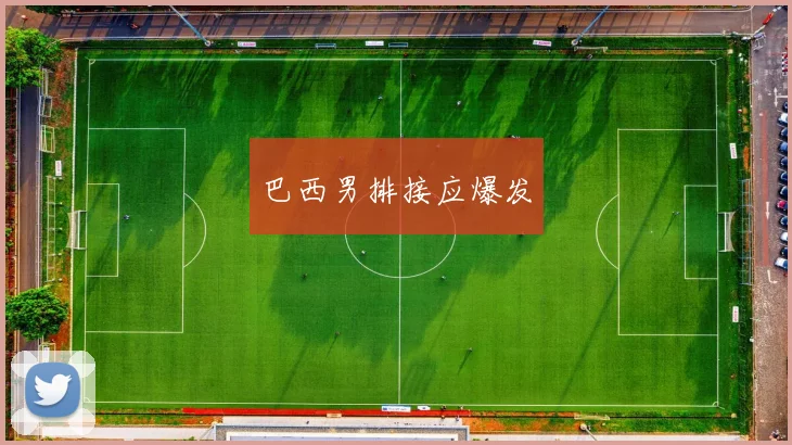 巴西男排接应爆发