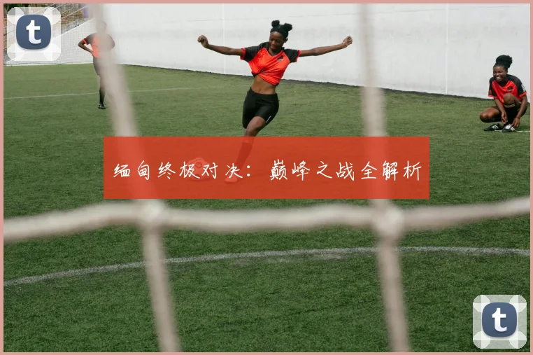 缅甸终极对决：巅峰之战全解析