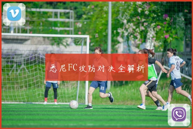 悉尼FC攻防对决全解析