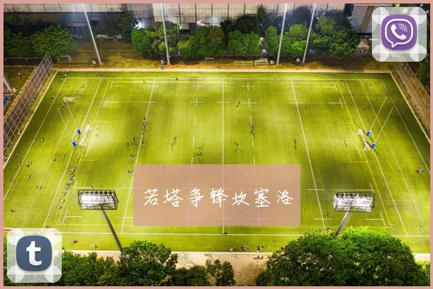 若塔争锋坎塞洛