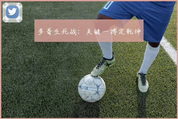 多哥生死战:关键一搏定乾坤