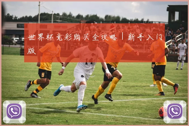世界杯竞彩购买全攻略|新手入门版